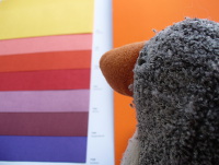 Pingo sucht eine Farbe aus