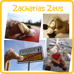 Präsidentschafts-Kandidat Zacharias Zeus